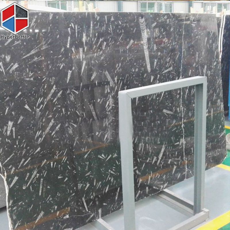 Marrocan-black-fossil-marble-slabs (5)