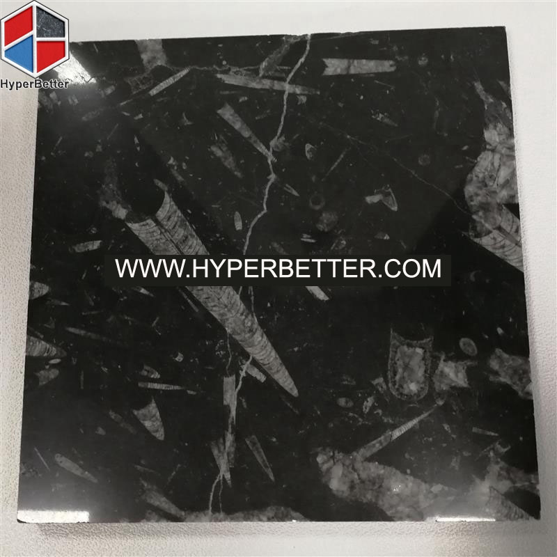 Marrocan-black-fossil-marble-tiles-1