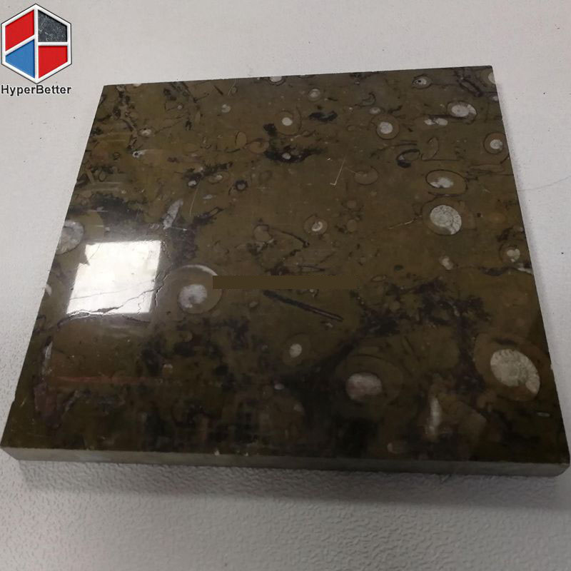 Marrocan-brown-fossil-marble-tiles