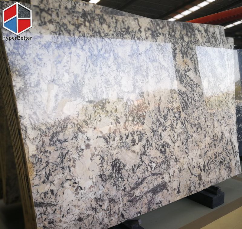 Exotic snow white granite slab (4)
