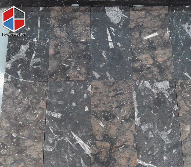 Marrocan brown fossil marble slab (1)
