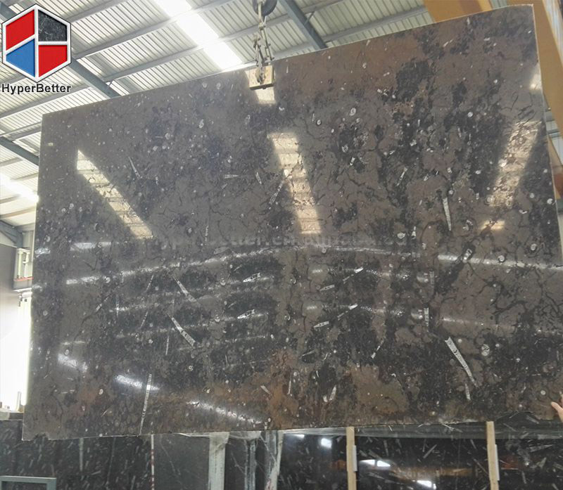 Marrocan brown fossil marble slab