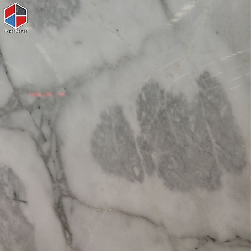 Arabescato white marble tiles (4)